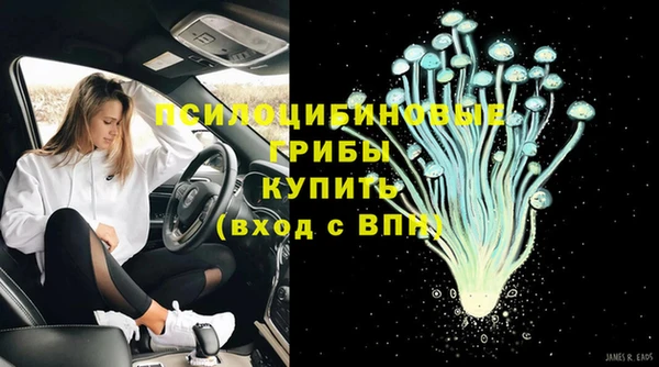 молекула духа Алзамай