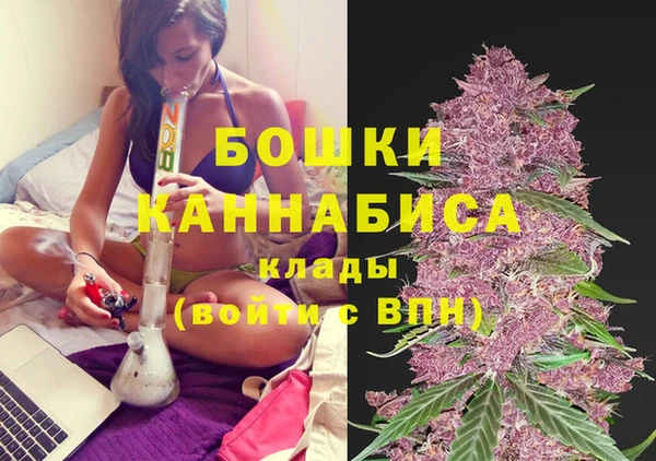 молекула духа Алзамай