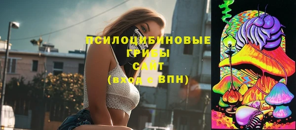 молекула духа Алзамай